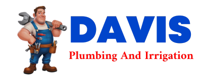 Trusted plumber in MORRICE